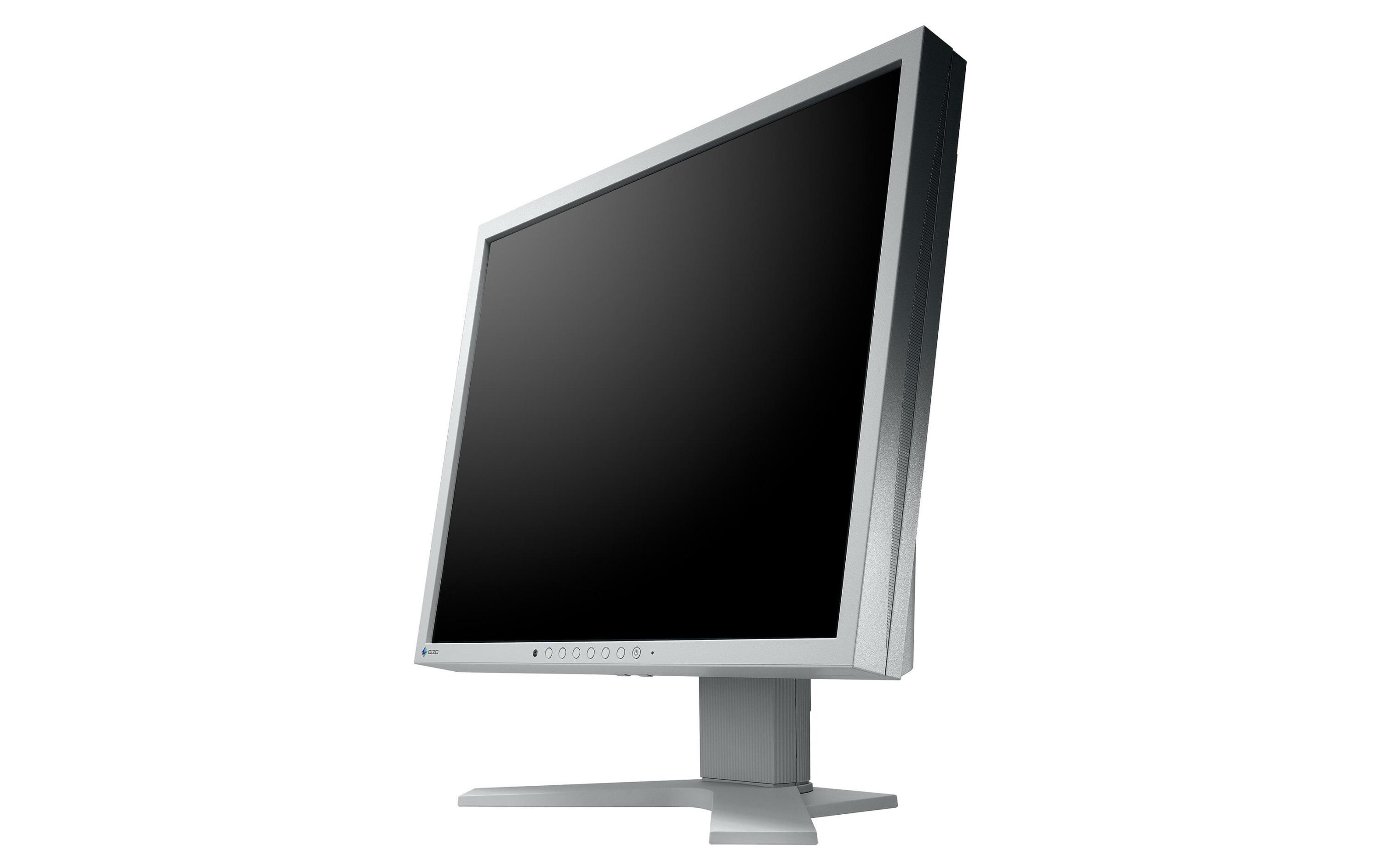 Monitor S1934H Swiss Edition<br>19