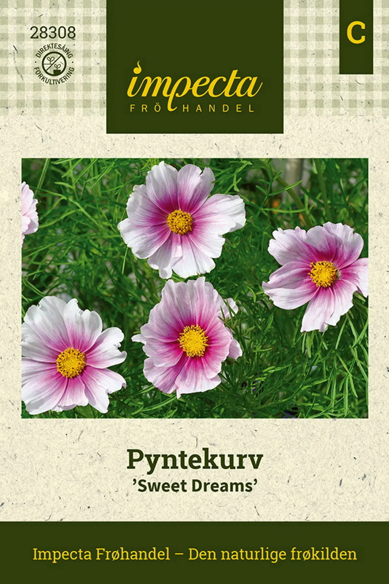 Cosmos bipinnatus 'Sweet Dreams' Pyntekurv  'Sweet Dreams'