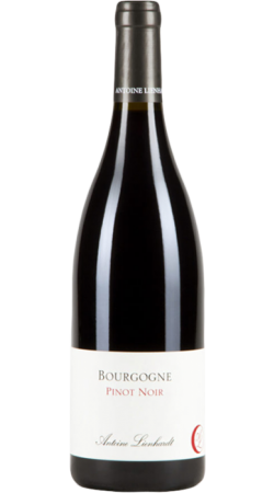 Domaine Antoine Lienhardt bourgogne Pinot Noir 2020