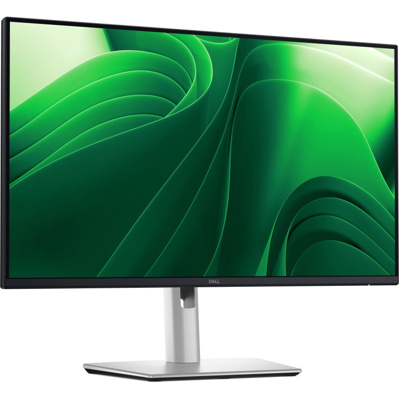 DELL Pro Plus P2425D écran plat de PC 61 cm (24