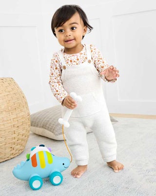 Skip Hop Explore & More Draleke Dinosaur