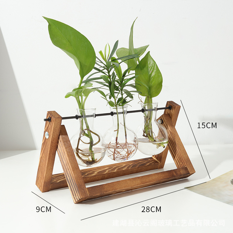 (28x15cm) Deko Pflanzen Terrarium Hydrokultur Vasen Halterung mit Ständer   Glas Gefässen