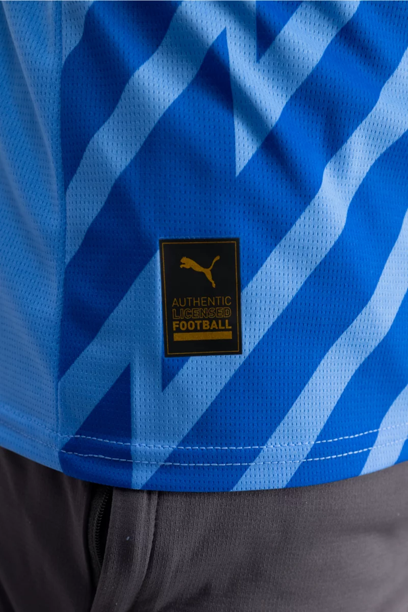 Puma Schweiz Replica Herren Torwarttrikot EM 2024 blau
