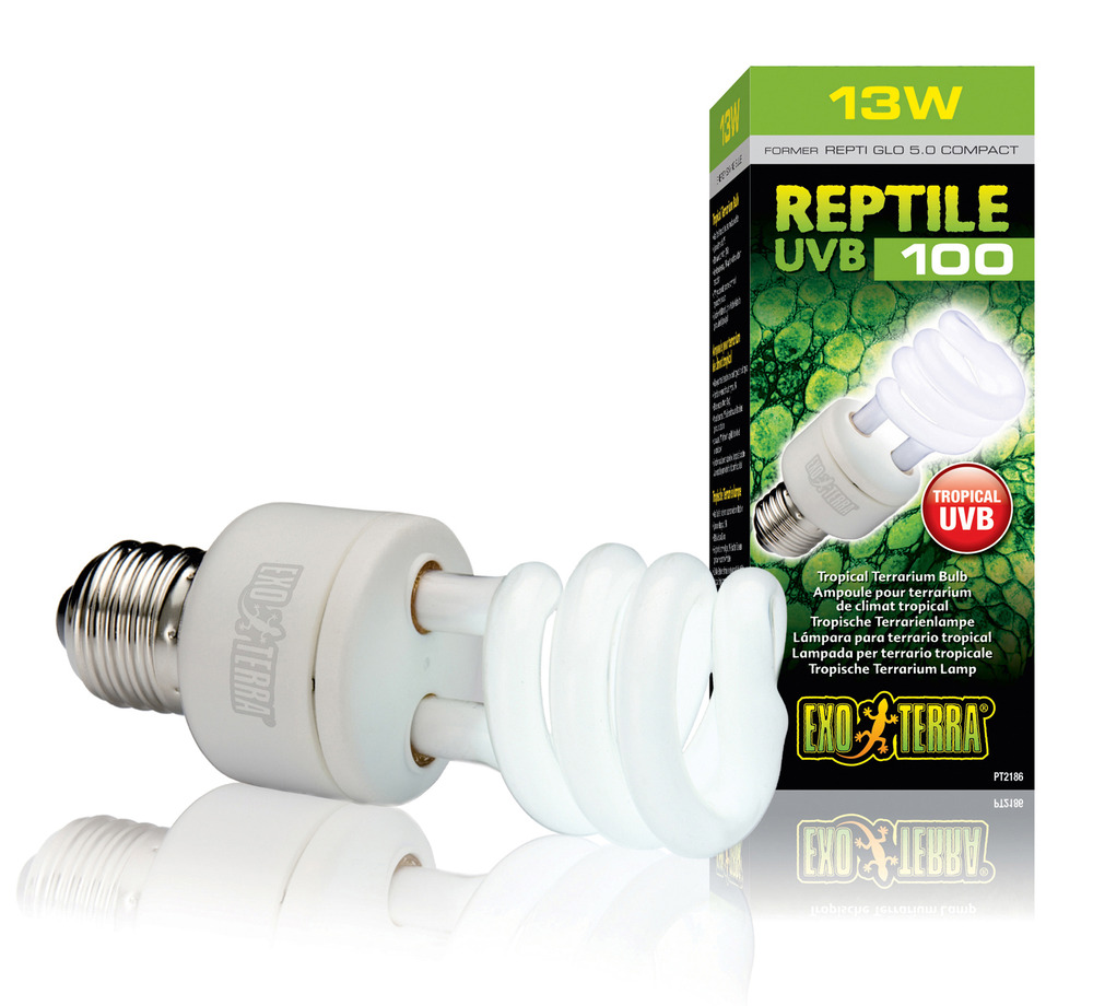 Ampoule fluo compact ubv 100 reptiles