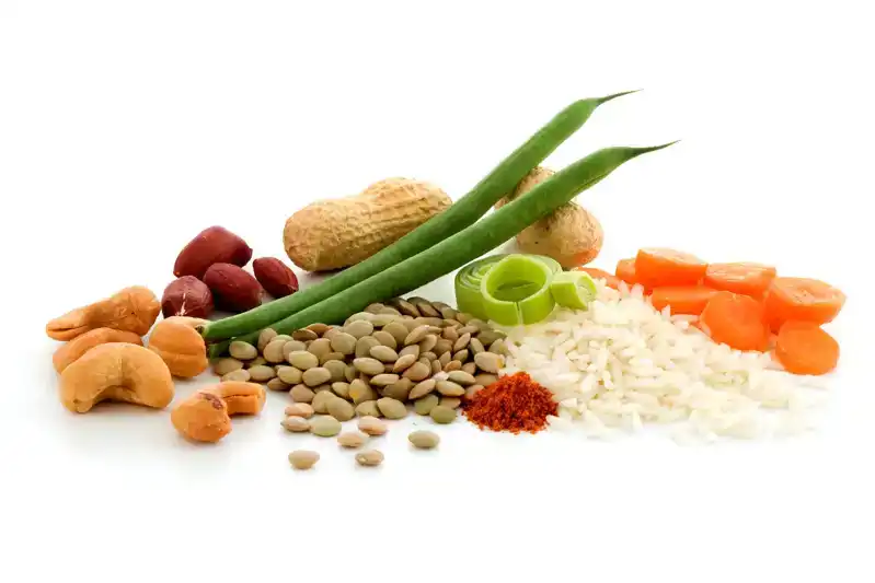 Cashew Nasi