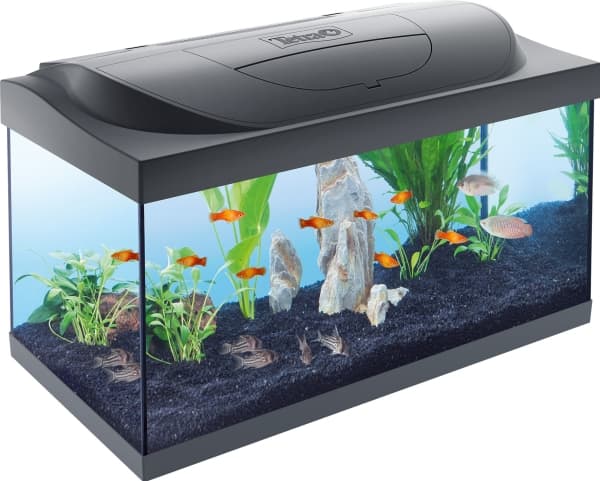 Tetra Starter Line Tank LED 54L, sort