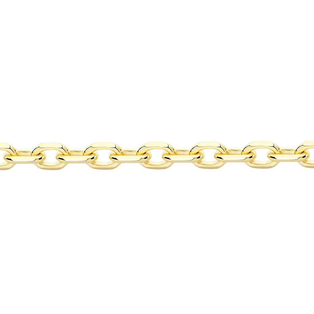 Chaîne Igoa Maille Forçat Diamantee Or Jaune