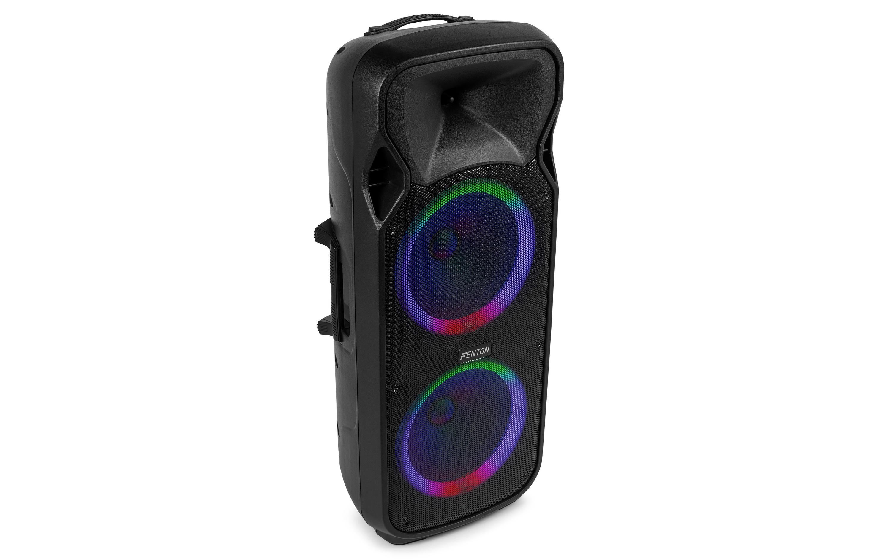 Lautsprecher FT212 lED MK2<br>Tragbarer PA-Lautsprecher mit LED