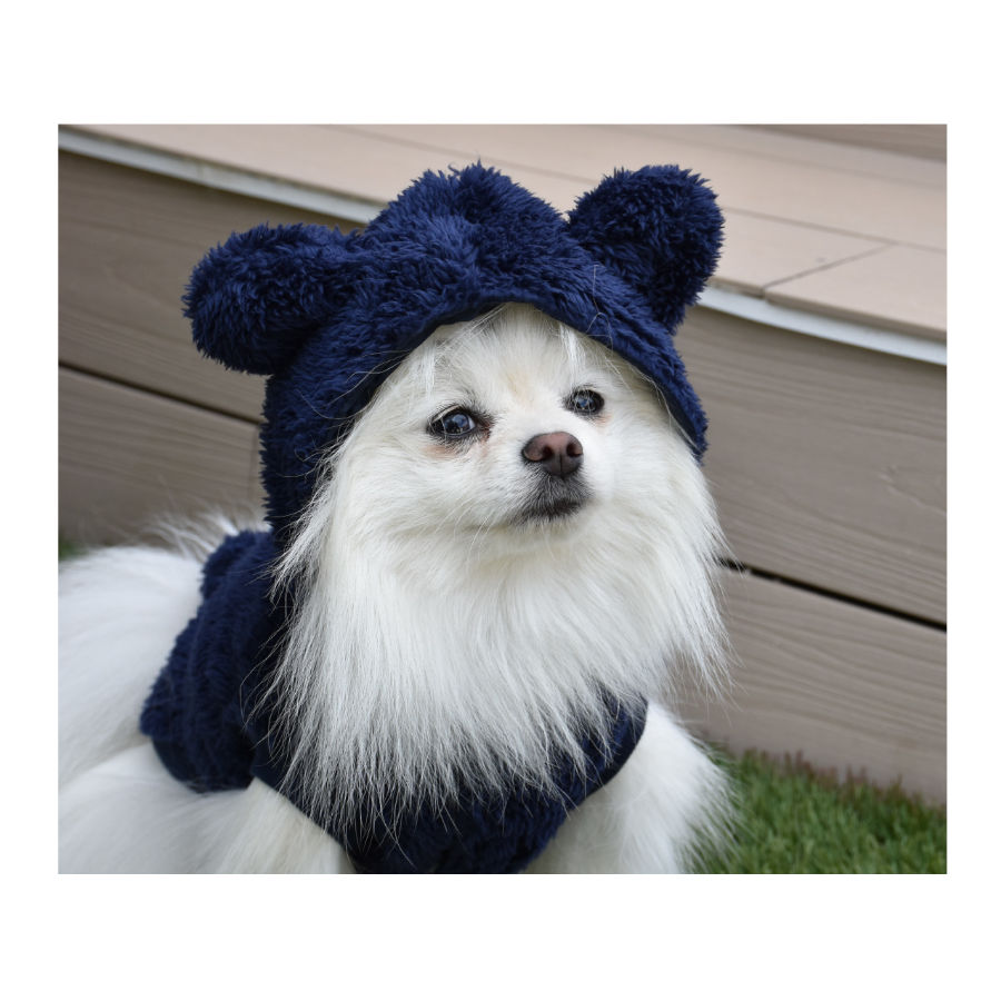 Jaqueta para cães Nayeco Alaska azul marinho