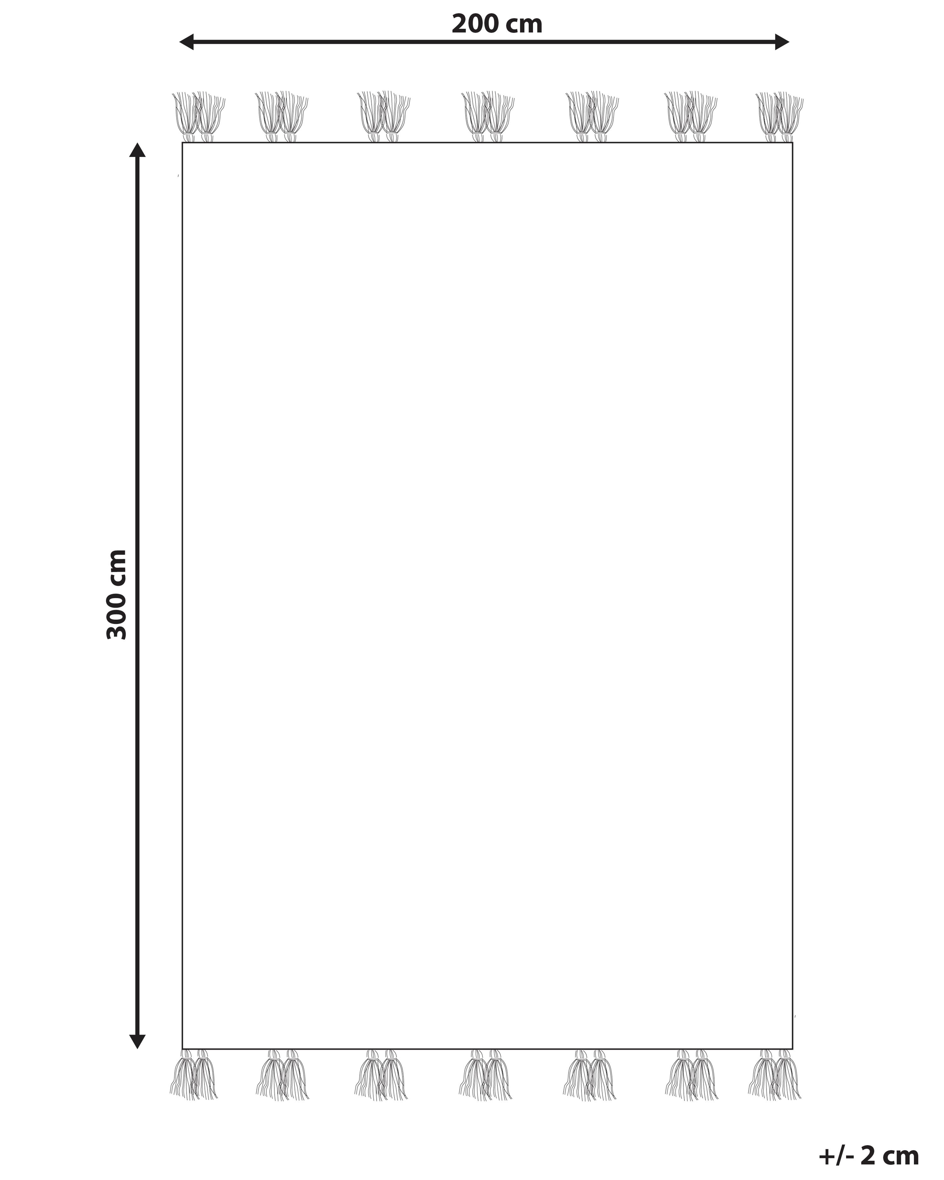 Vloerkleed KASAKH Meerkleurig 200 x 300 cm Wol Kelim