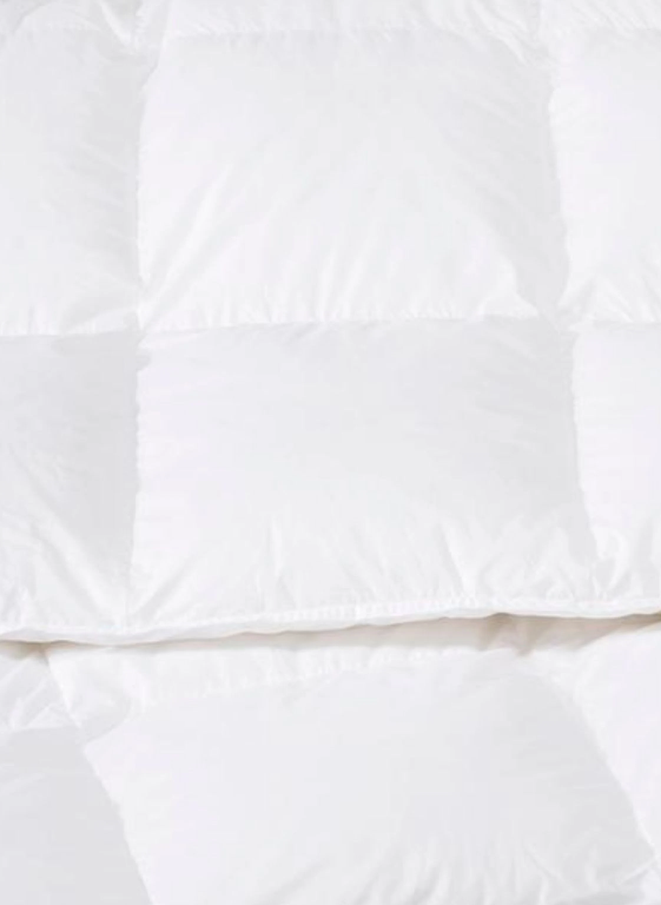 RID ORGANIC Winterdecke BIO-DAUNEN WARM