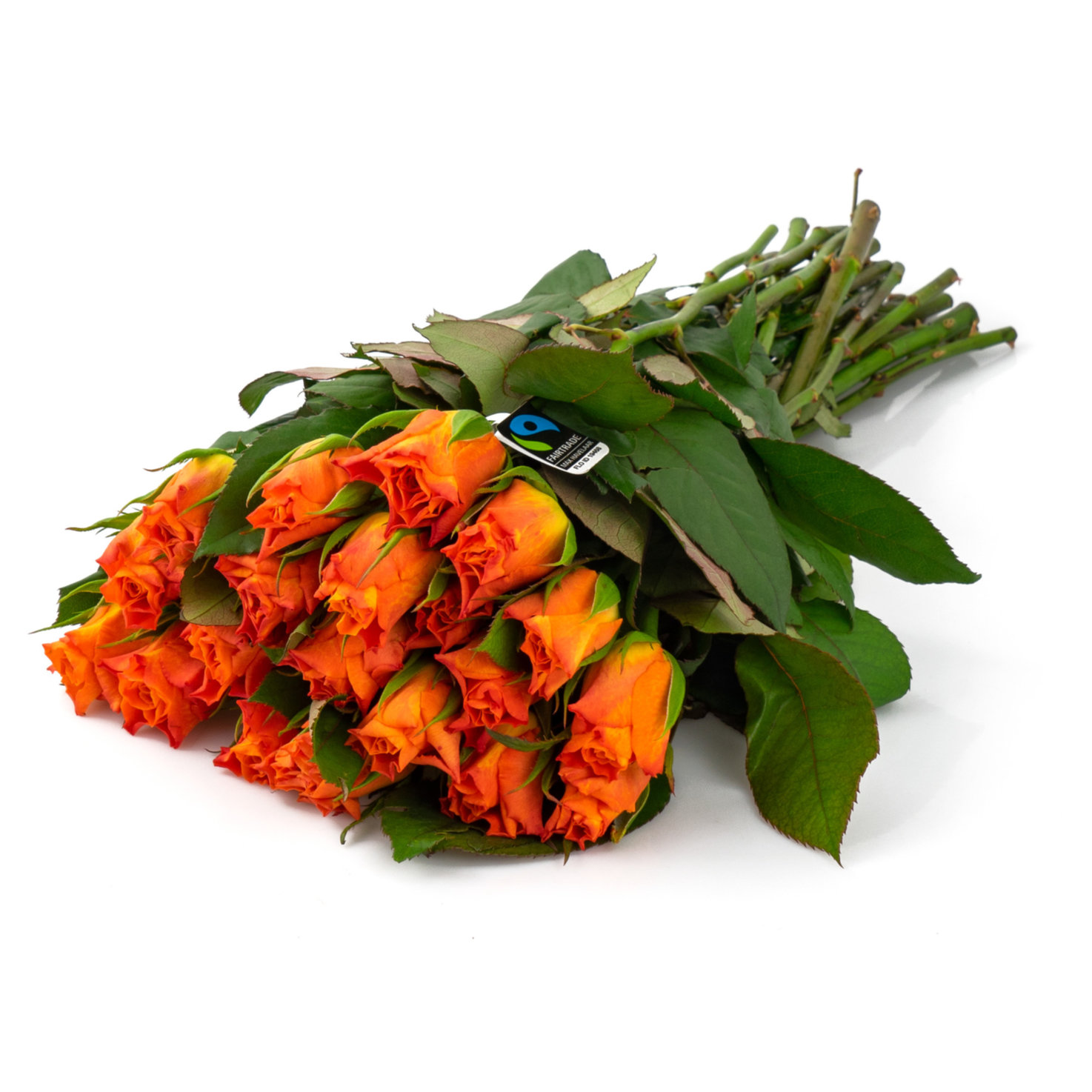 Fairtrade Rosen orange