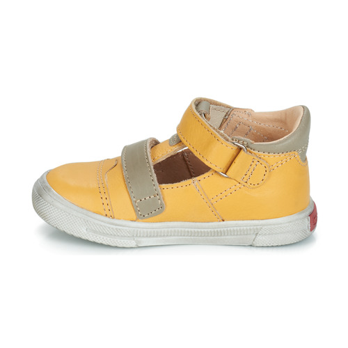 GBB - STEVE - Jaune