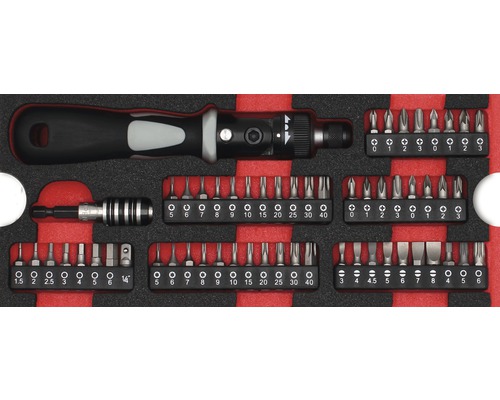 Module-inzetstuk schroevendraaierbitset WGB maat S 268 x 38 x 114 mm zwart 58-delig