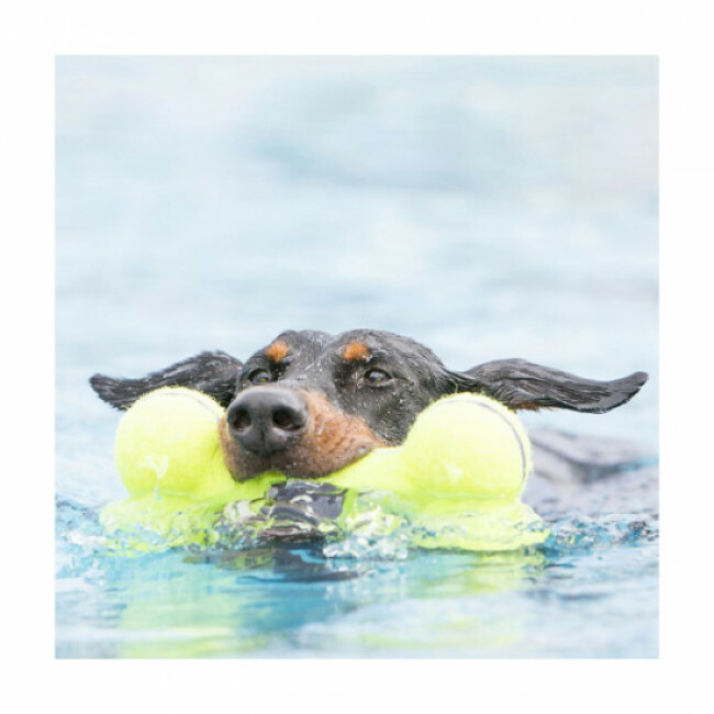 Jouet os couineur Air KONG Squeaker Bone pour chien