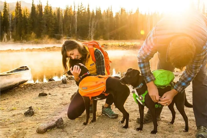 Kjøp Ruffwear Approach Pack fra Hekta på tur!