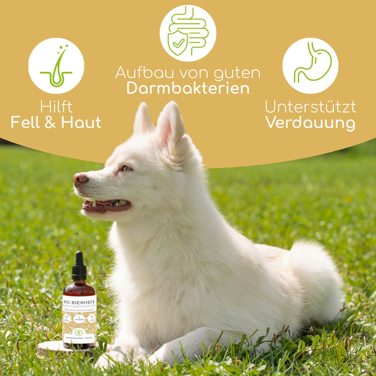 Wolfsbacher Natur Futteröl Set 3 x 100ml