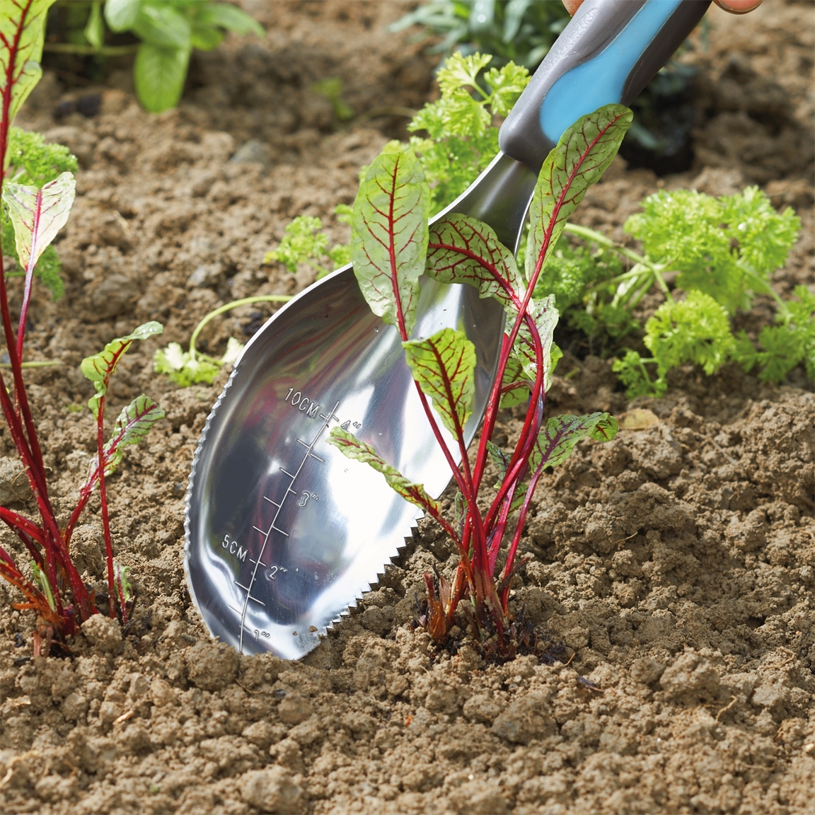 Outil de jardinage multifonctions