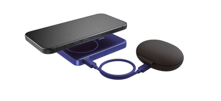 (20W) 5000mAh Dual USB C Powerbank Power Delivery Ladegerät   Kickstand (2PBM5000TB) - True Blue