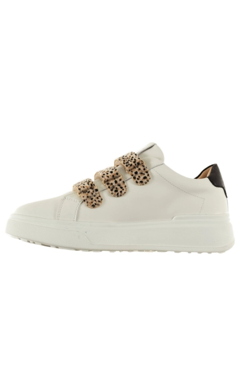 Baskets basses vanessa wu salome leopard