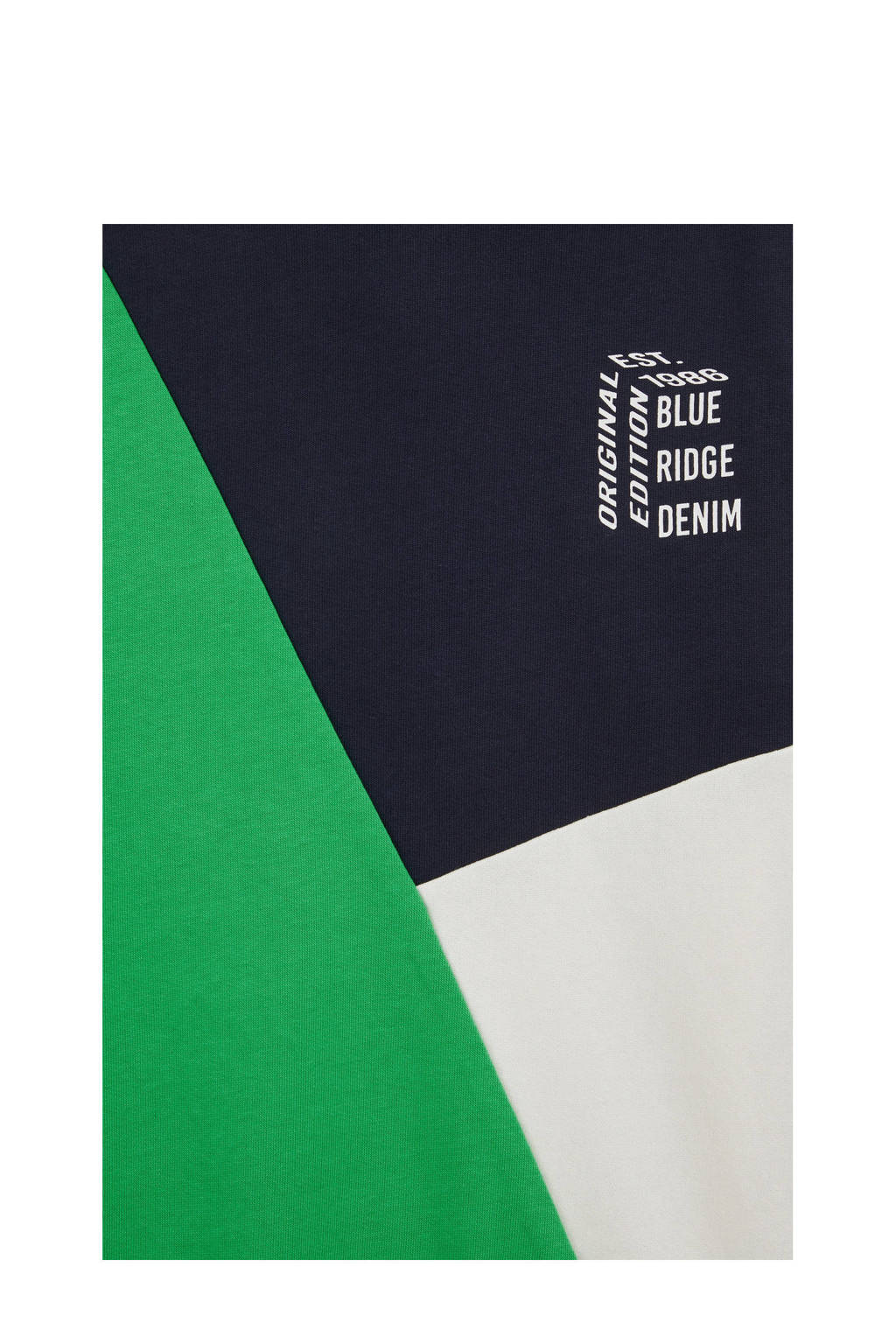 WE Fashion hoodie groen