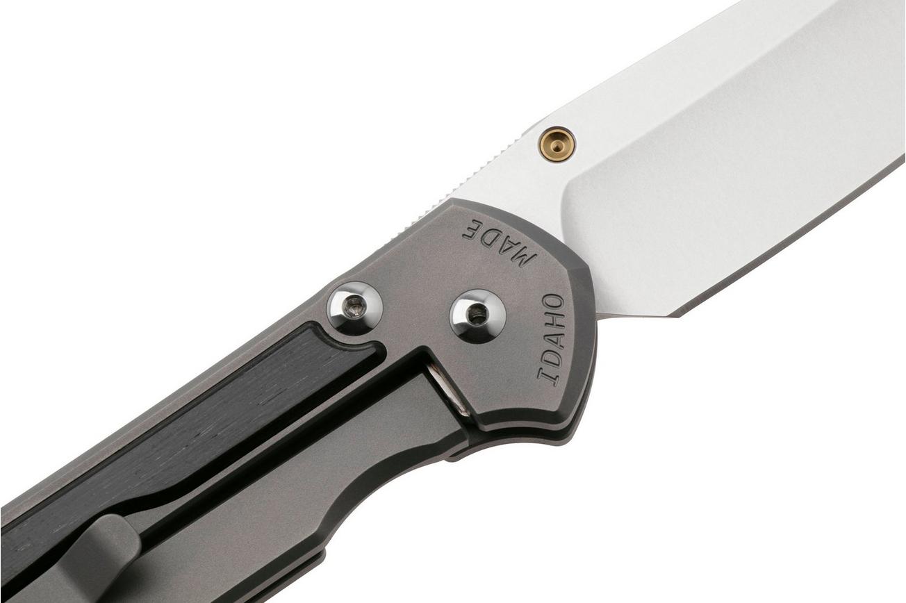 Chris Reeve Large Sebenza 31 Insingo L31-1124, Stonewashed CPM MagnaCut, Sand Blasted Titanium, Bog Oak Inlay zakmes