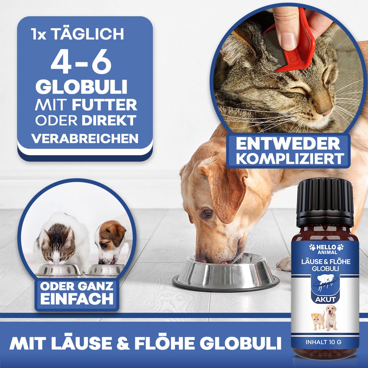 Hello Animal® | Läuse & Flöhe Kügelchen für Hund & Katze