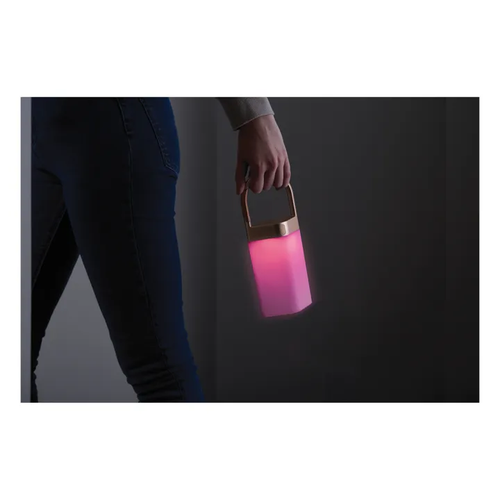 Lexon Lampe portable LED d'extérieur Horizon Hanging | Gold