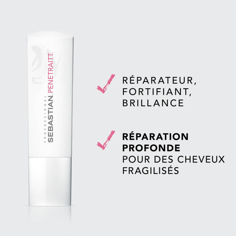 Pack cheveux abîmés Penetraitt Sebastian Professional
