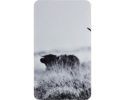 Glazen afdekplaten Wenko Highland Cattle 53992800