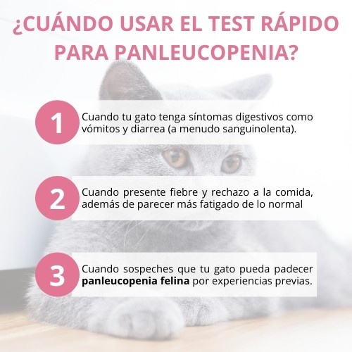 Teste rápido de panleucopenia para gatos da Lab4pets
