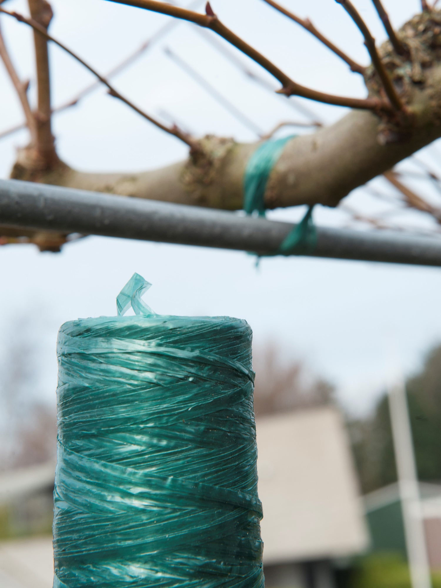 Nature raffia kunststof 100g 400m groen
