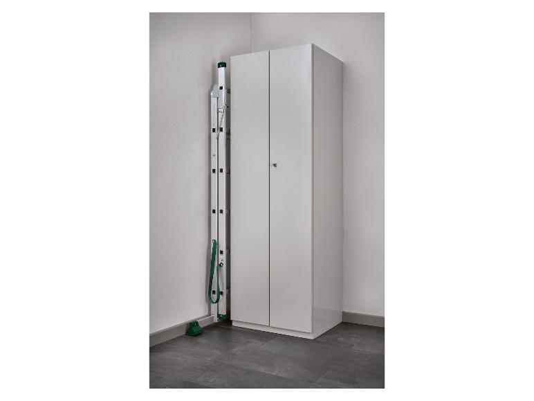 Ladder