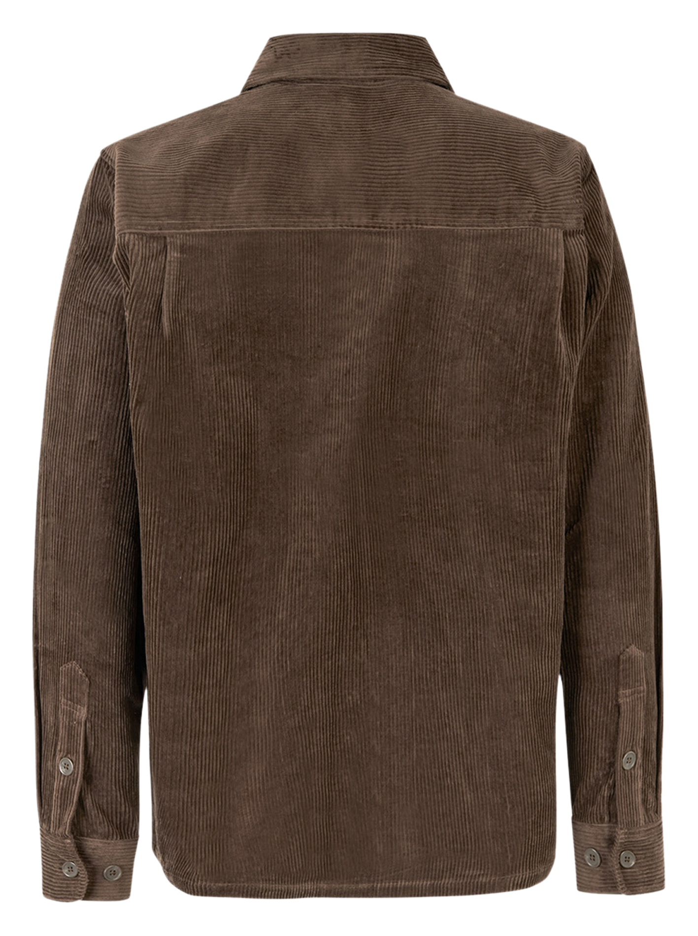 DAMON - Surchemise col classique en coton organique | Marron