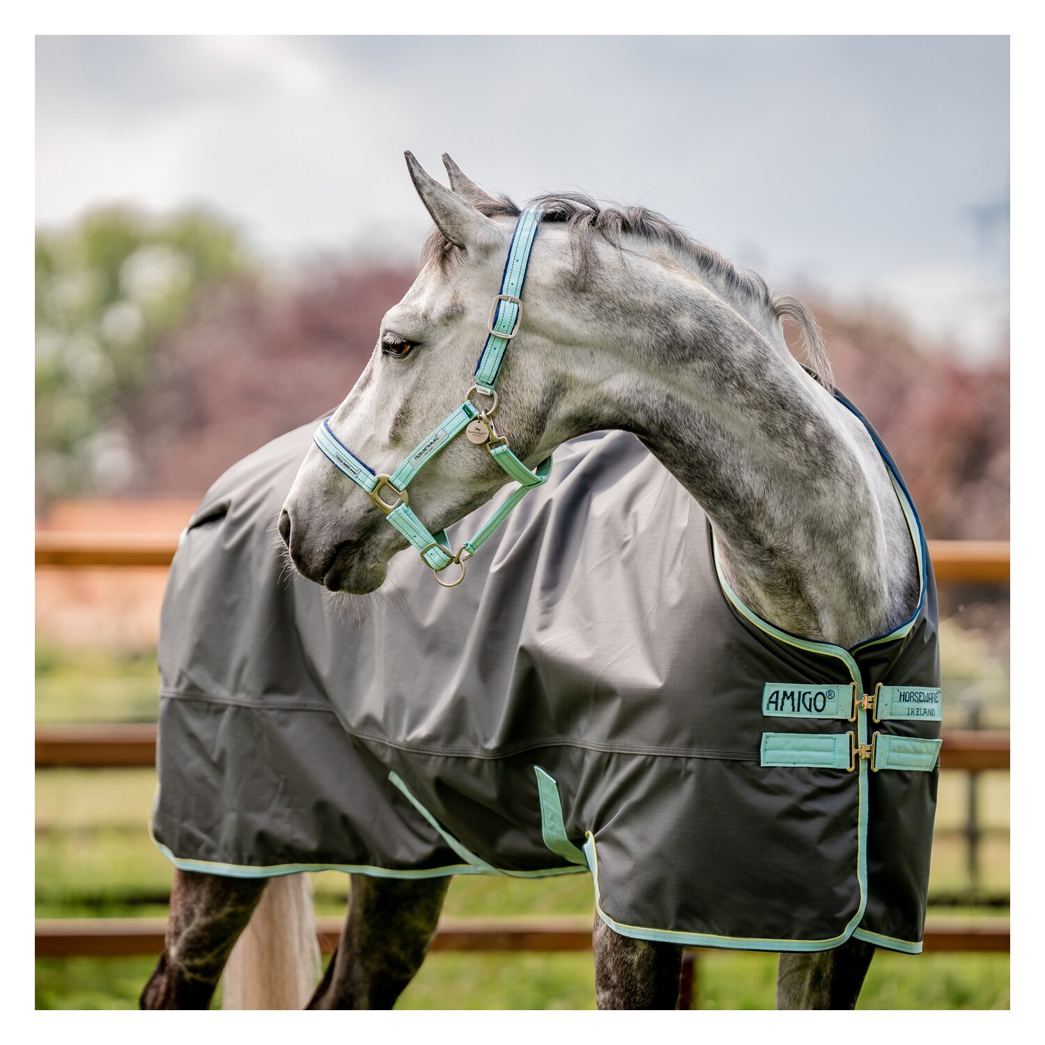 HORSEWARE Halfter Fieldsafe  - blue haze