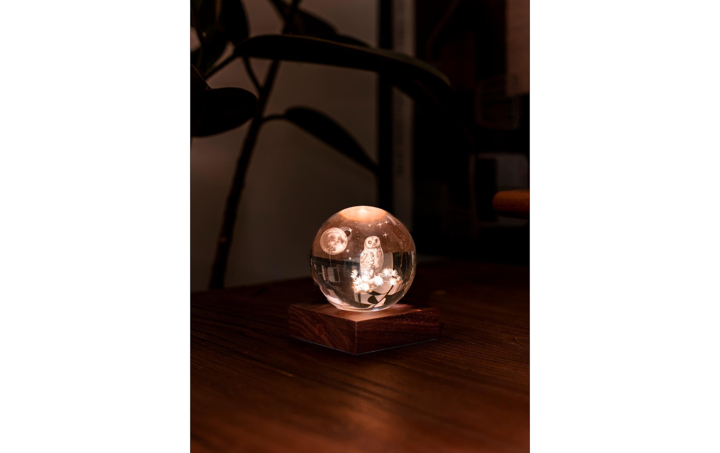 LED Dekofigur »Gingko LED Amber Eule« Holzart: Walnuss (China)