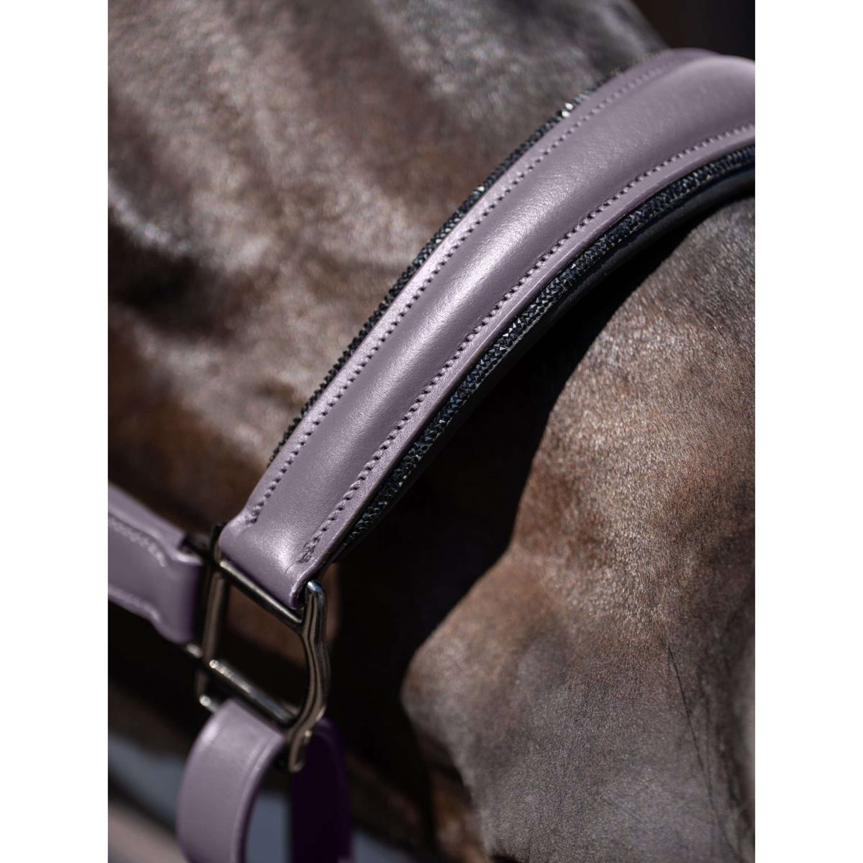 Equestrian Stockholm Halster Glimmer Leather Anatomic Dark Violet