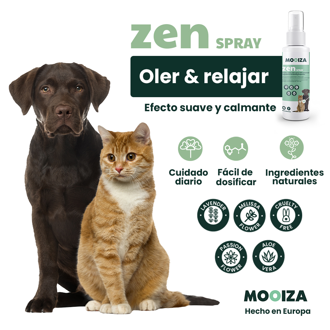 Spray zen MOOIZA - efeito calmante para cães e gatos