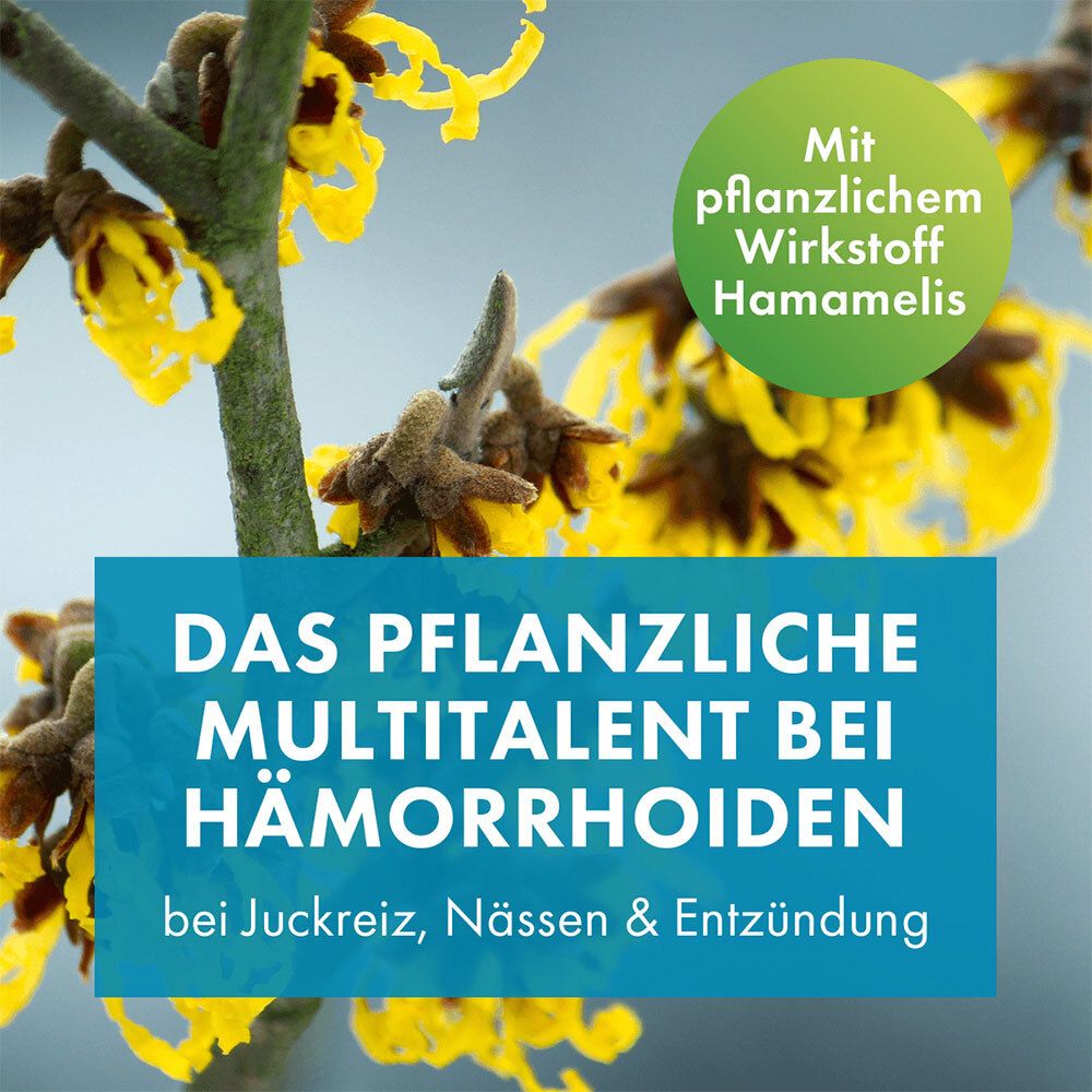 FAKTU® lind Hämorrhoidenzäpfchen