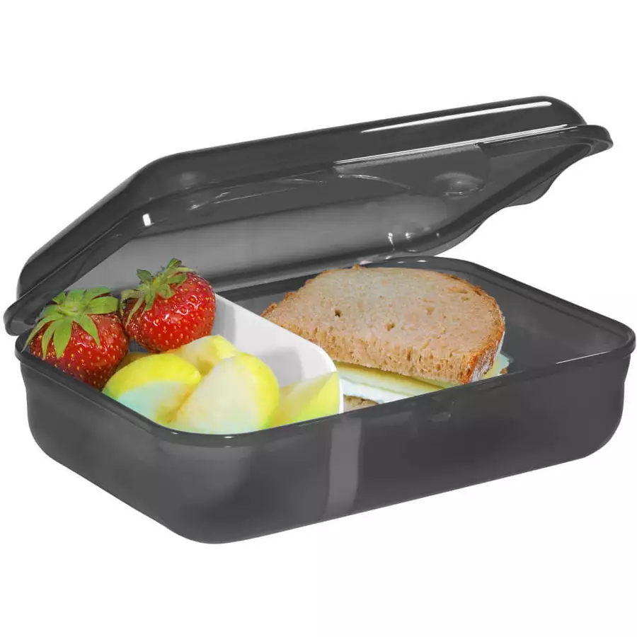 Step by Zubehör Lunchbox 17.5 cm - Brotzeitbox Wild T-Rex Taro