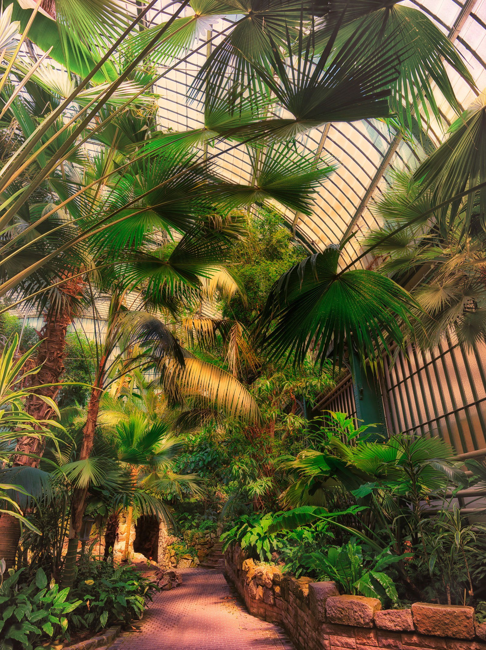 Palmengarten Frankfurt VI by Werner Pawlok - Limited Edition. Edition of: 150. Signed.