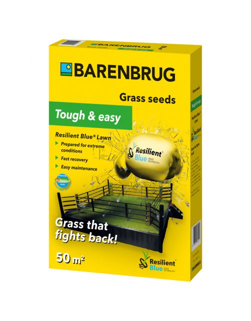 Barenbrug Resilient Blue - Graszaden - 1 kg