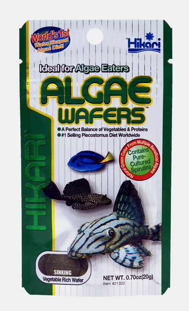 Hikari Algae wafers 82 gram | Aquariumvoer siervissen