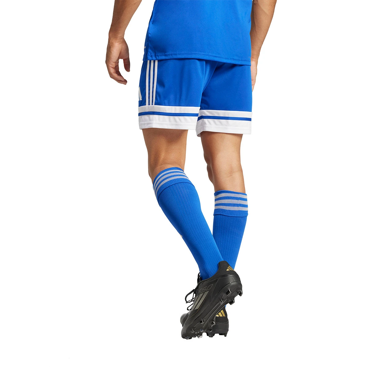 Calções adidas Squadra 25 II