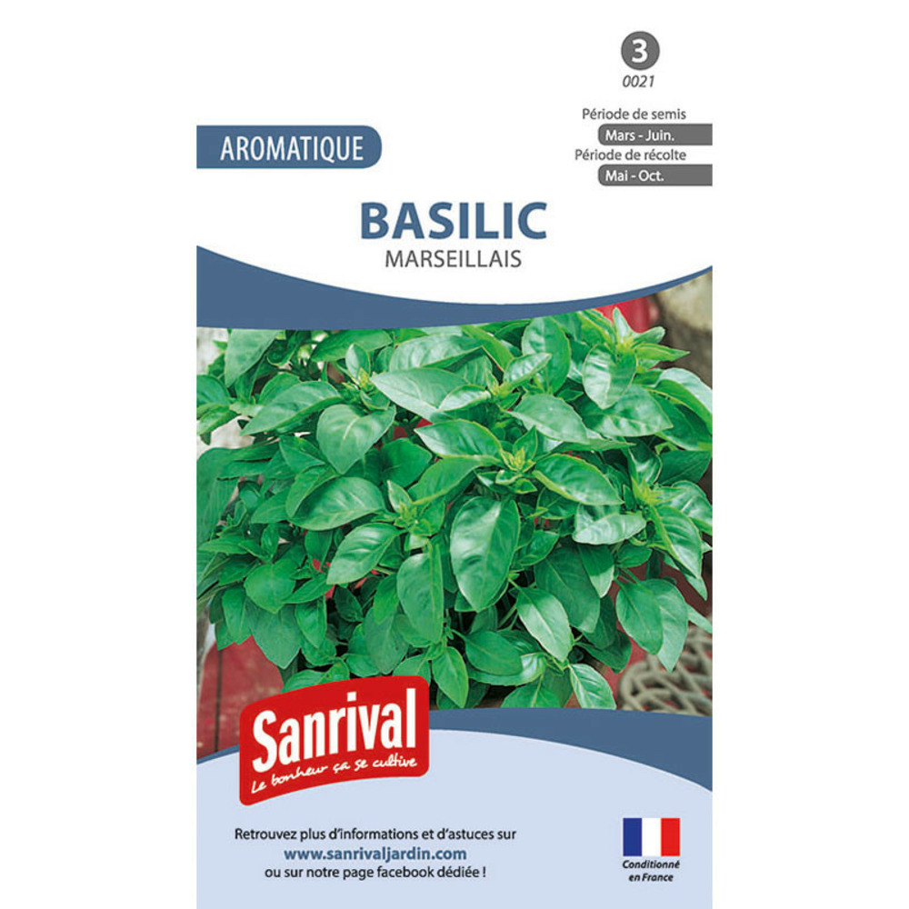 Graines basilic marseillais
