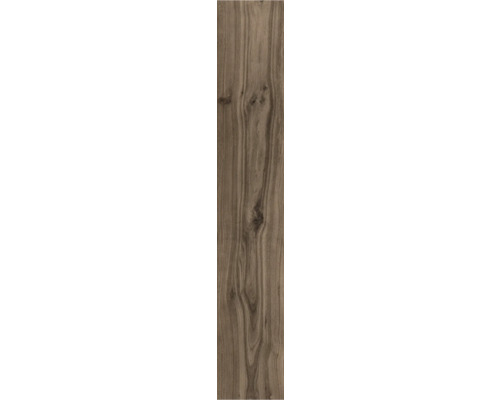 Porseleinen steengoed wand- en vloertegel Oliver Braun 20 x 119,5 x 1 cm mat gerectificeerd