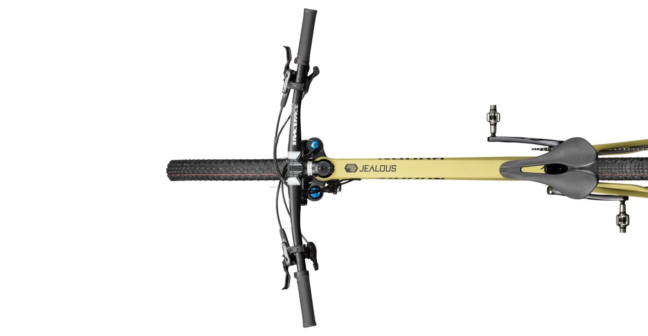 Radon Jealous AL 10.0 kaufen | Bike-Discount