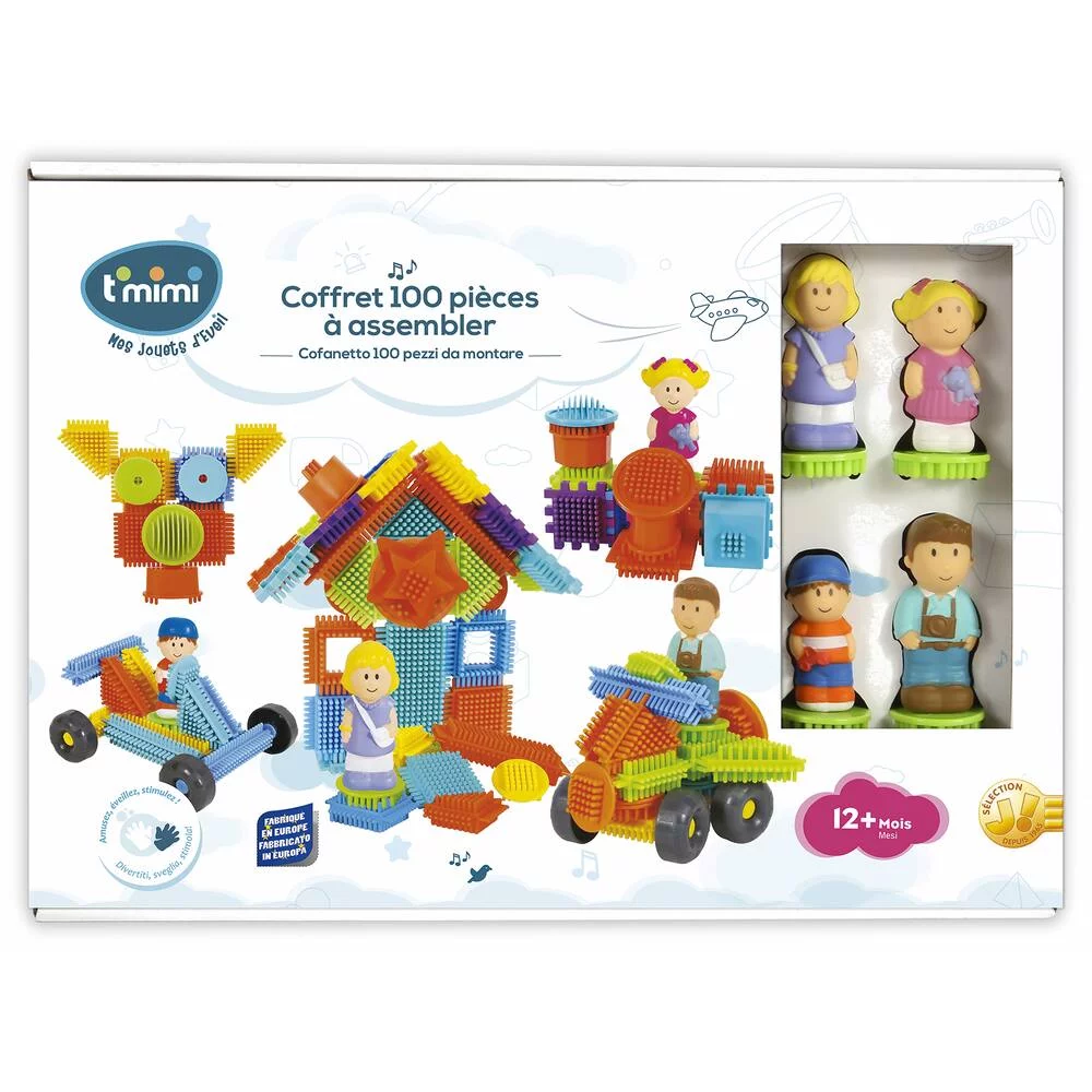 COFFRET 100 PIECES A ASSEMBLER