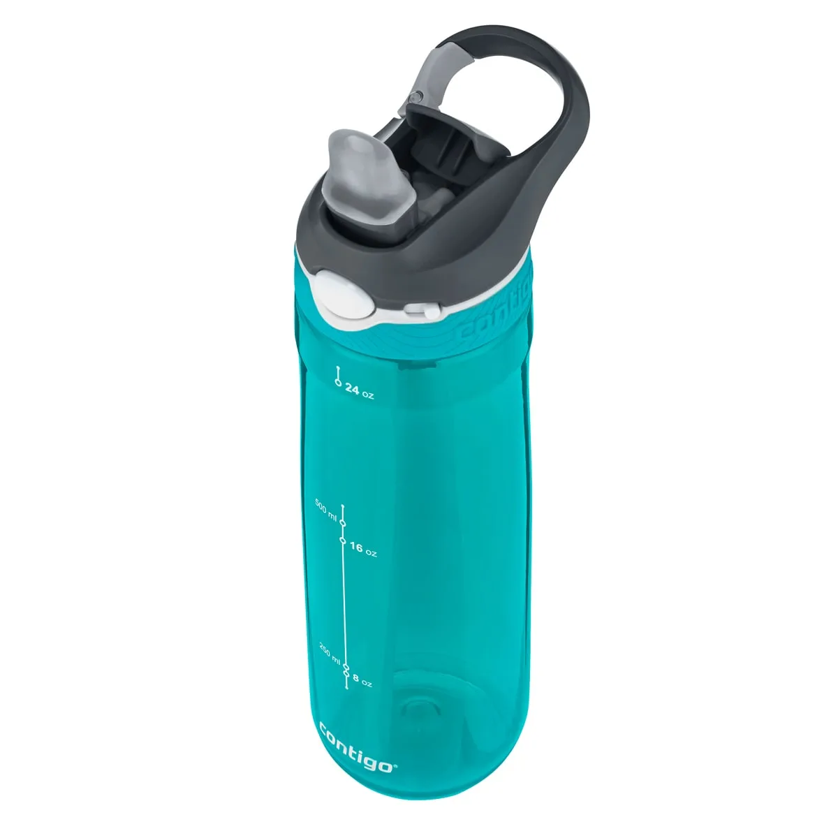 Contigo Ashland Scuba
