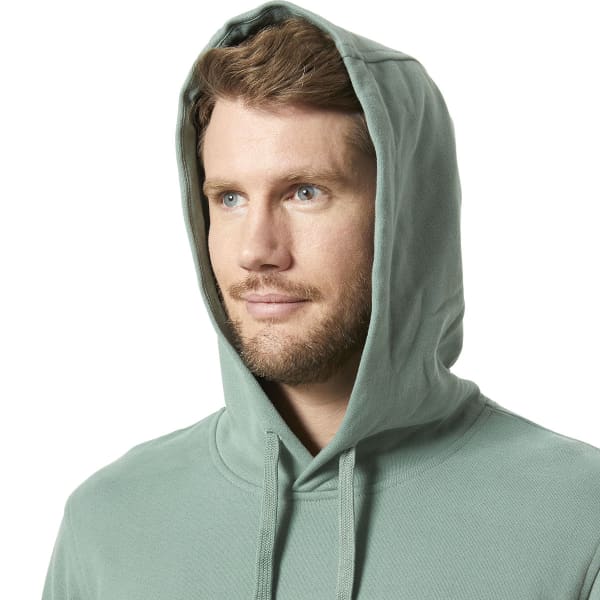 Sweatshirt HELLY HANSEN HH LOGO HOODIE CACTUS